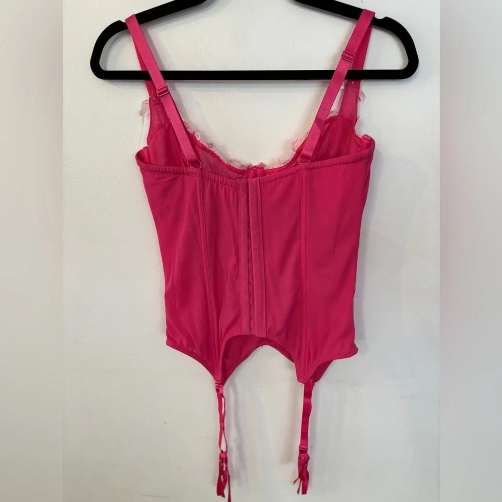 NWT Vintage Parfait Embroidered coquette girl Barbiecore pink sheer corset 36DD